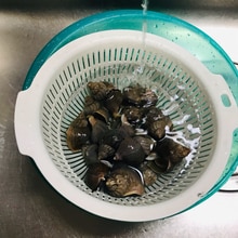 磯つぶ貝 エゾバイ の生姜煮 レシピ 作り方 By ひよこピッピ 楽天レシピ 磯つぶ貝 エゾバイ の生姜煮 レシピ 作り方 By ひよこピッピ 楽天レシピ